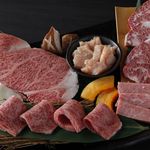 Special Yakiniku (Grilled meat) set