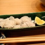 日本料理 櫻川 - しゃぶしゃぶされる前の鱧 202308