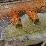 天ぷら とばり - 車海老の頭