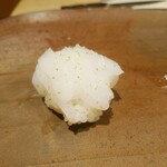 鮨 熊 - アオリイカ