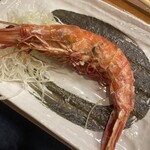 長崎の味処 鮨・割烹さくらい - 