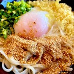 うどん茶屋 海津屋 - 細麺冷やしぶっかけ