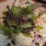 VINDUSTRY - タコとカブのカルパッチョ