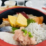 さかな大食堂渚 - 