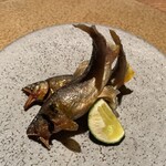 六雁 - 六雁(活け鮎の炭火焼)