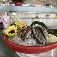 表参道うかい亭 - 