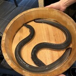 銀座 四代目 高橋屋 - 