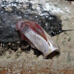 千葉たかおか - 鯵（千葉県富津）