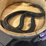 銀座 四代目 高橋屋 - 