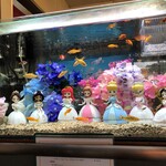 中華工房おかげさま - 6月の水槽