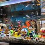 中華工房おかげさま - ４月の水槽