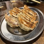 餃子のかっちゃん - 餃子
