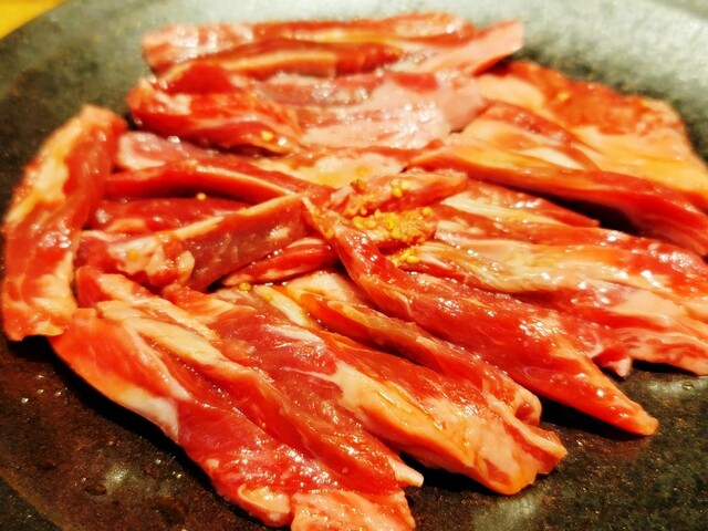 Yakiniku Jo-an Sanshain 60 Tori Ten photo 5