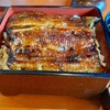 Unagi Chigusa - 