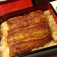 鰻割烹 伊豆栄 本店 - うな重松