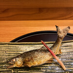 日本料理 太月 - 量少なめコース２３１００円。天然長良川鮎の塩焼き。今年は諦めていましたが、貴重な品をいただきました。香り、旨味を堪能しました（╹◡╹）（╹◡╹）