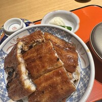 炭焼きうなぎ・かしわ 登河 池下店 - うなぎ丼