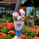 ブルーシール - 