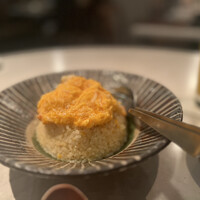 CINA New Modern Chinese - 