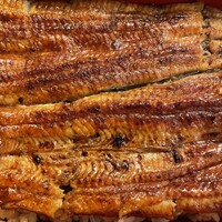 うなぎ川勢 - 