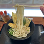 うどん食べ会館 - この通り、弾力　コシの強いうどん。噛みごたえ喉越しもいいです。