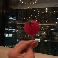 モダンフレンチ 「コラージュ」 コンラッド東京 - 