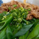 麺匠 くすがみ - シャキシャキねぎねぎ～