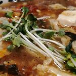 桃源花 - カイワレ