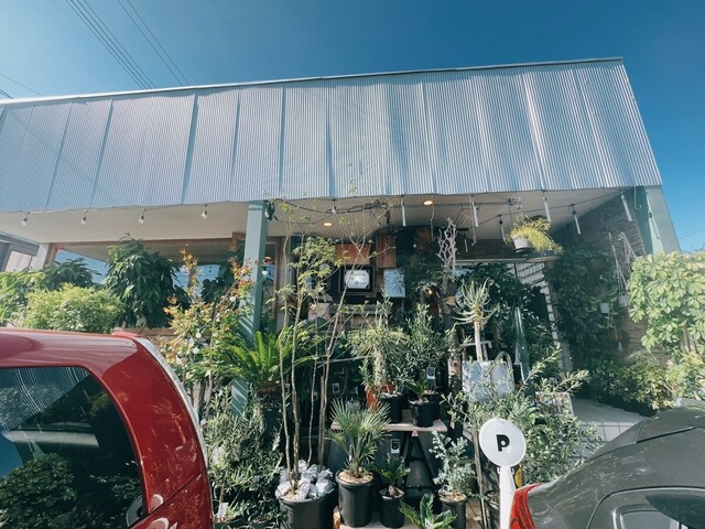 ハチコオリLAB（ハチコオリラボ） - 羽後牛島（かき氷）の写真