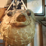 寿し善 - 文句あるんかい！！！