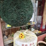 池本酒造 - 店先の青い巨大杉玉