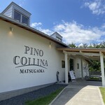 PINO COLLINA - 