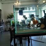 cafe nekoji - 内観。