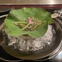 表参道うかい亭 - 