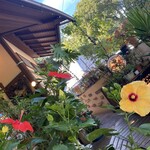 ケニーズハウスカフェ 伊豆高原本店 - 