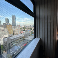 PONGA PREMIUM - 