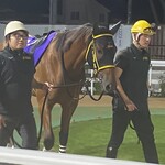 とねっこジンギスカン - 