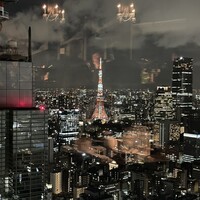 Bar&Lounge MAJESTIC -  Bar&Lounge MAJESTIC -