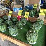 山鳥青果 - 