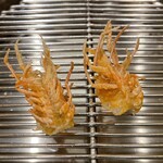 てんぷら 下村 - 