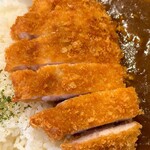 Kushikatsu Dengana - 