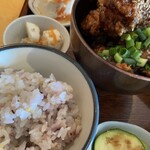 Karakuriko - 副菜 左側 豆腐物2品
