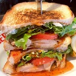 Salt lemon chicken grilled sandwich