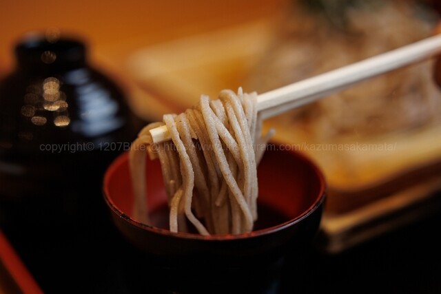 和風レストランぱすとらる - 本八戸（麺類）の写真