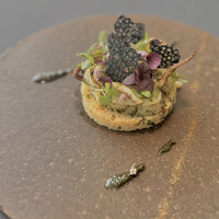 プレヴナンス - 