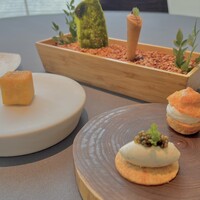 プレヴナンス - 