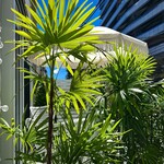 ロジエ - 道路に面したテラス席