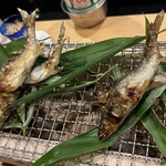 吉星 - 長良川の天然鮎と琵琶湖鮎の食べ比べ