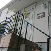 リストランテ 鎌倉フェリーチェ - 