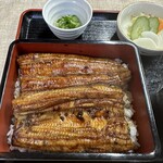 Unagi Fukutake - 